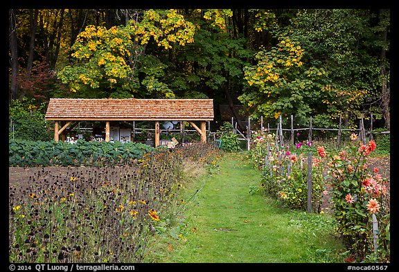 The garden, Stehekin, North Cascades National Park Service Complex.  (color)