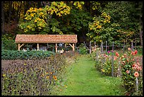 The garden, Stehekin, North Cascades National Park Service Complex.  ( color)