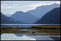 Pond and Lake Chelan, Stehekin, North Cascades National Park Service Complex. Washington, USA.