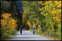 Bicyclists in autumn, Stehekin, North Cascades National Park Service Complex. Washington, USA.