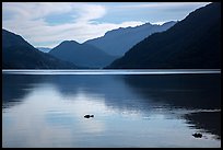 Lake Chelan reflections, Stehekin, North Cascades National Park Service Complex.  ( color)