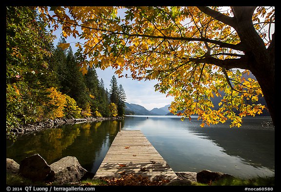 Deck framed by tree in autumn foliage, Lake Chelan, Stehekin, North Cascades National Park Service Complex.  (color)