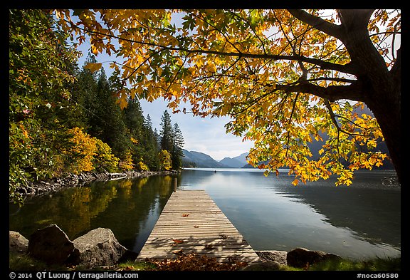 Deck framed by tree in autumn foliage, Lake Chelan, Stehekin, North Cascades National Park Service Complex. Washington, USA.