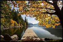 Deck framed by tree in autumn foliage, Lake Chelan, Stehekin, North Cascades National Park Service Complex. Washington, USA.
