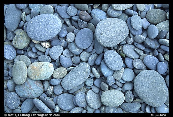 Round pebbles on beach. Olympic National Park (color)
