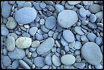 Round pebbles on beach. Olympic National Park, Washington, USA.