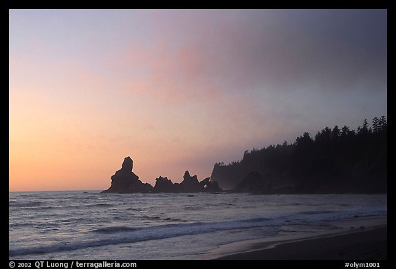 Sunset, Shi-Shi Beach. Olympic National Park, Washington, USA.