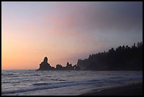 Sunset, Shi-Shi Beach. Olympic National Park ( color)