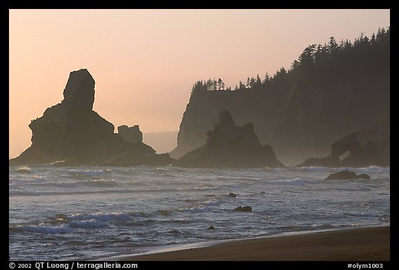 Sea stacks and arch on Shi-Shi Beach. Olympic National Park (color)