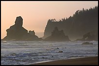 Sea stacks and arch on Shi-Shi Beach. Olympic National Park, Washington, USA.