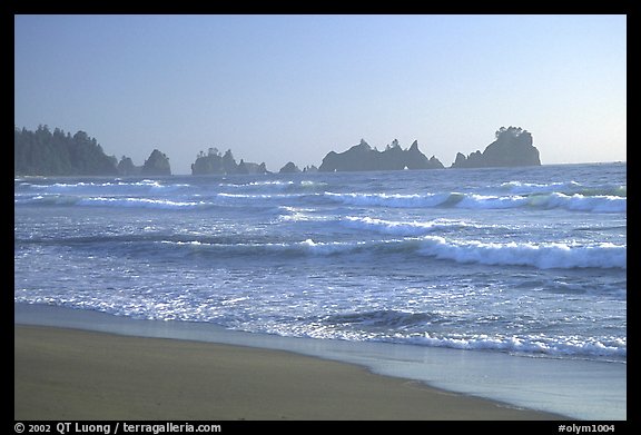 Seastacks, Shi-Shi Beach. Olympic National Park, Washington, USA.