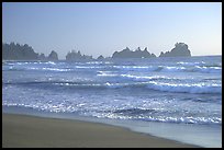 Seastacks, Shi-Shi Beach. Olympic National Park, Washington, USA.