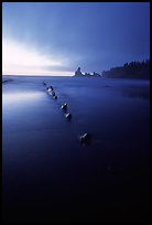 Dusk, Shi-shi beach. Olympic National Park, Washington, USA. (color)