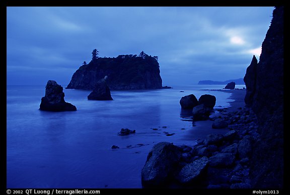 Blue seascape of seastacks at Dusk, Ruby beach. Olympic National Park (color)