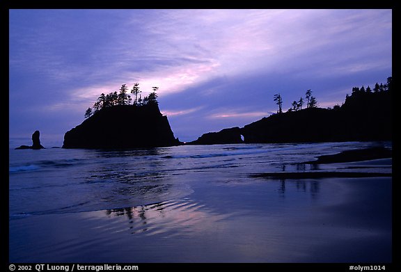 Seastacks reflected at sunset on wet sand, Second Beach. Olympic National Park, Washington, USA.