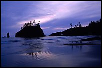 Seastacks reflected at sunset on wet sand, Second Beach. Olympic National Park, Washington, USA.