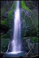 Marymere falls, spring. Olympic National Park, Washington, USA.