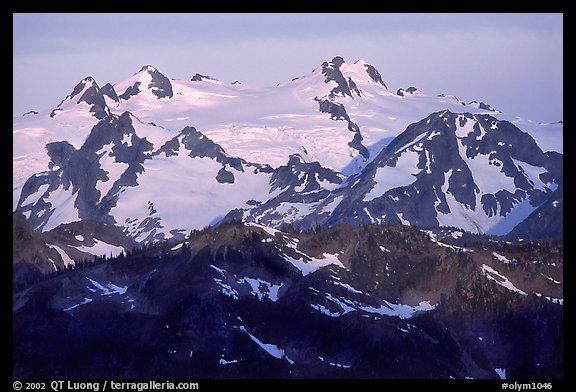 Mount Olympus at sunrise. Olympic National Park (color)