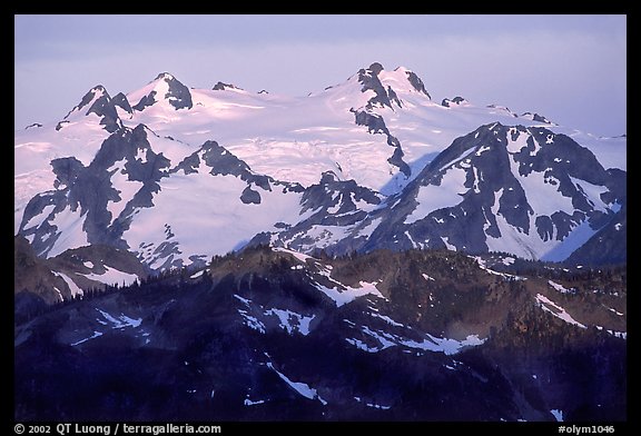 Mount Olympus at sunrise. Olympic National Park, Washington, USA.