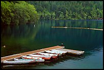 Emerald waters, pier and rowboats, Crescent Lake. Olympic National Park ( color)