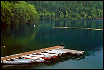 Emerald waters, pier and rowboats, Crescent Lake. Olympic National Park, Washington, USA.