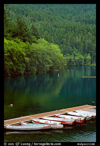 Small boats moored in emerald waters in Crescent Lake. Olympic National Park (color)