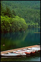 Small boats moored in emerald waters in Crescent Lake. Olympic National Park, Washington, USA.