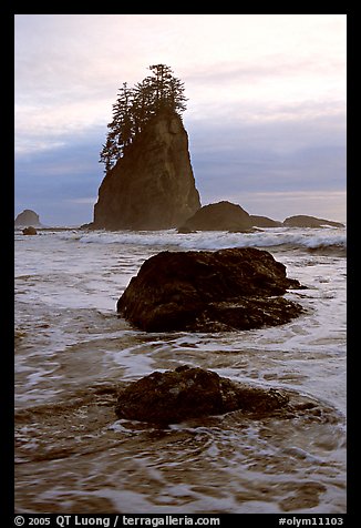 Rocks, seastacks and surf, Second Beach. Olympic National Park, Washington, USA.