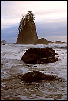 Rocks, seastacks and surf, Second Beach. Olympic National Park, Washington, USA.