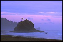 Seastack, Second Beach, dusk. Olympic National Park, Washington, USA.