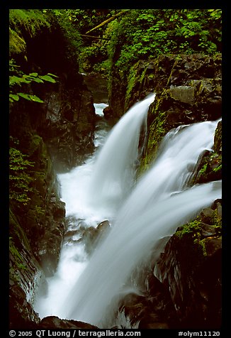 Sol Duc falls. Olympic National Park (color)