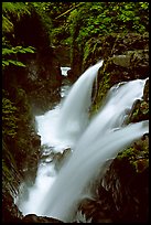 Sol Duc falls. Olympic National Park, Washington, USA.