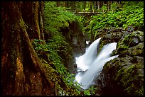 Sol Duc falls and footbridge. Olympic National Park, Washington, USA. (color)