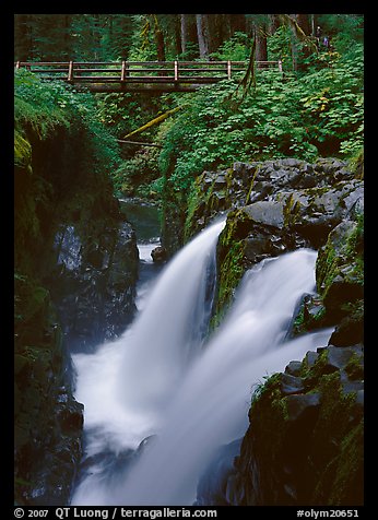 Sol Duc falls and wooden footbridge. Olympic National Park (color)