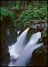 Sol Duc falls and wooden footbridge. Olympic National Park, Washington, USA. (color)