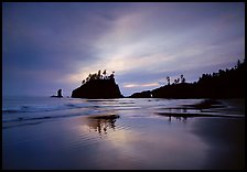 Seastacks reflected at sunset on wet sand, Second Beach. Olympic National Park, Washington, USA. (color)