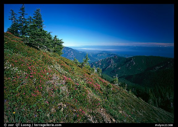 Looking towards  Strait of San Juan de Fuca from Hurricane hill. Olympic National Park, Washington, USA.