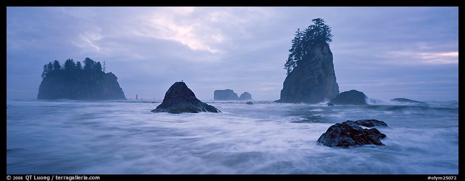 Misty seascape with sea stacks. Olympic National Park (color)