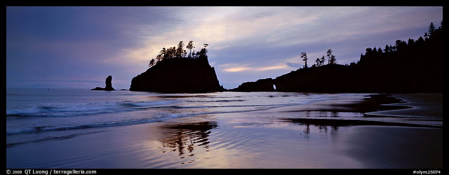 Second Beach with wet sand reflections. Olympic National Park (color)