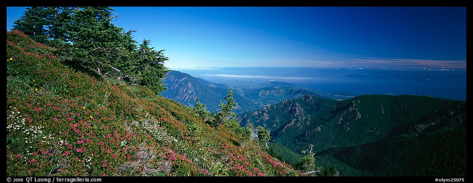 View over marine straight from mountains. Olympic National Park (color)