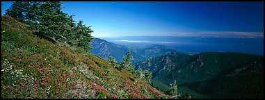 View over marine straight from mountains. Olympic National Park, Washington, USA.