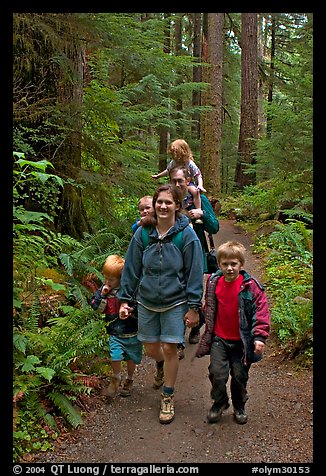 Family walking on forest trail. Olympic National Park, Washington, USA.