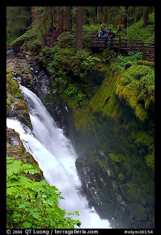 Sol Duc falls and observation platform. Olympic National Park, Washington, USA.