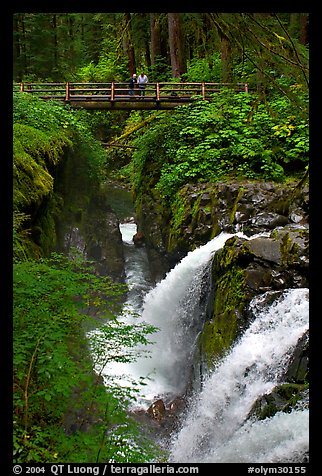 Sol Duc waterfall and bridge. Olympic National Park, Washington, USA.