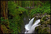 Soleduc falls and bridge. Olympic National Park, Washington, USA. (color)