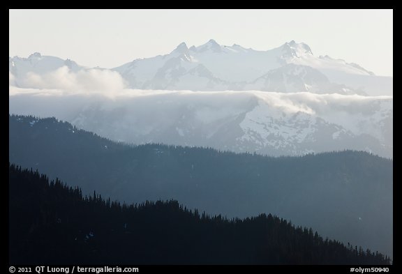 Olympic range and ridges. Olympic National Park, Washington, USA.