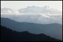 Olympic range and ridges. Olympic National Park, Washington, USA. (color)