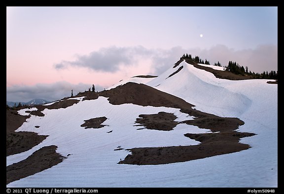 Neve on hill at dusk near Obstruction Point. Olympic National Park, Washington, USA.