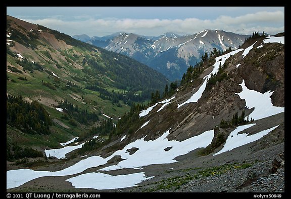 Badger Valley. Olympic National Park, Washington, USA.