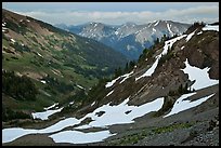 Badger Valley. Olympic National Park, Washington, USA. (color)